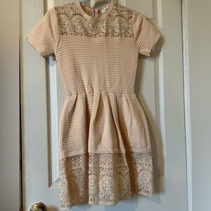 Blush lace stretchy dress